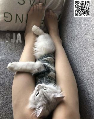 诱人的飞行韩国