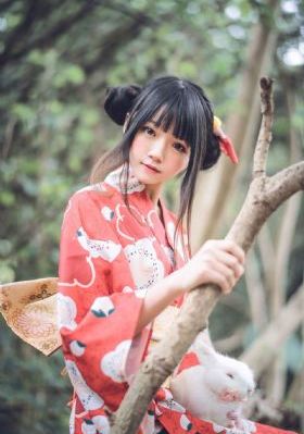 全职高手第一季全集免费